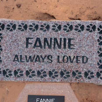 Dog memorial stone - granite with dog memorial saying